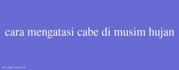 Cara Mengatasi Cabe Di Musim Hujan