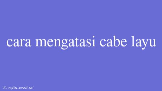 Cara Mengatasi Cabe Layu