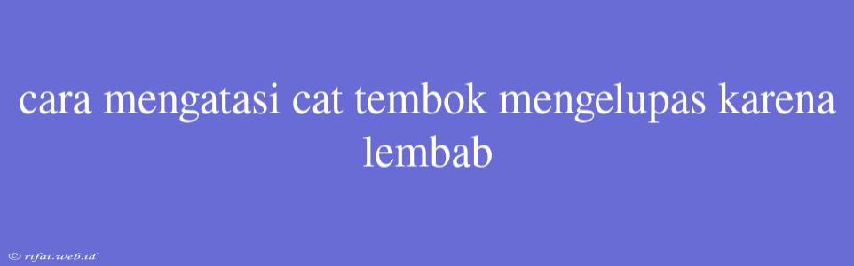 Cara Mengatasi Cat Tembok Mengelupas Karena Lembab