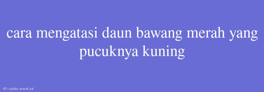 Cara Mengatasi Daun Bawang Merah Yang Pucuknya Kuning