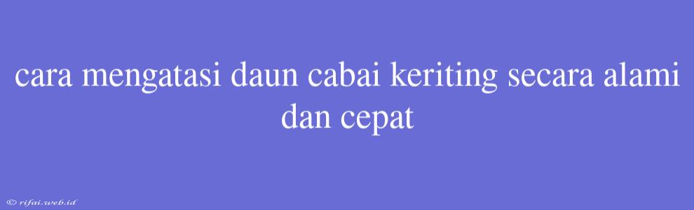 Cara Mengatasi Daun Cabai Keriting Secara Alami Dan Cepat