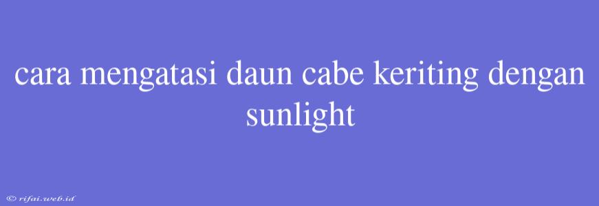 Cara Mengatasi Daun Cabe Keriting Dengan Sunlight