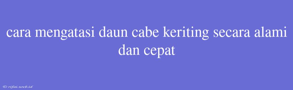 Cara Mengatasi Daun Cabe Keriting Secara Alami Dan Cepat