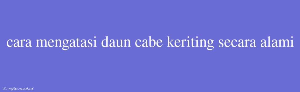 Cara Mengatasi Daun Cabe Keriting Secara Alami