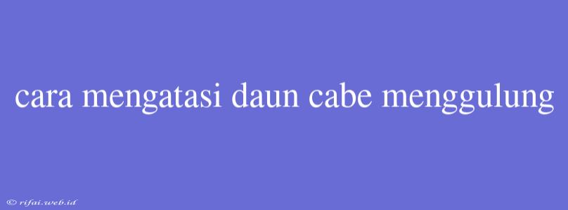 Cara Mengatasi Daun Cabe Menggulung