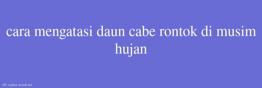 Cara Mengatasi Daun Cabe Rontok Di Musim Hujan