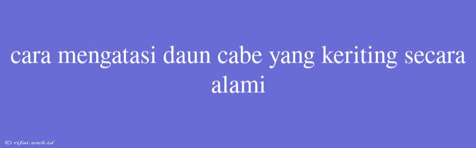 Cara Mengatasi Daun Cabe Yang Keriting Secara Alami