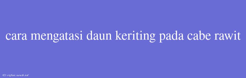 Cara Mengatasi Daun Keriting Pada Cabe Rawit