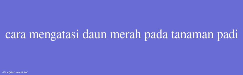 Cara Mengatasi Daun Merah Pada Tanaman Padi