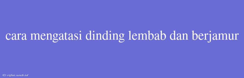 Cara Mengatasi Dinding Lembab Dan Berjamur