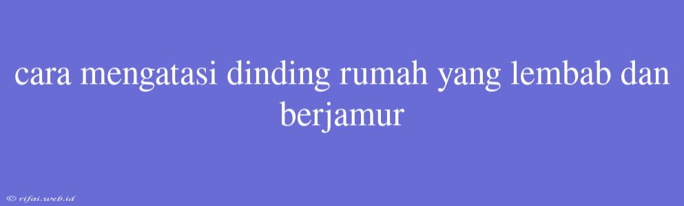 Cara Mengatasi Dinding Rumah Yang Lembab Dan Berjamur