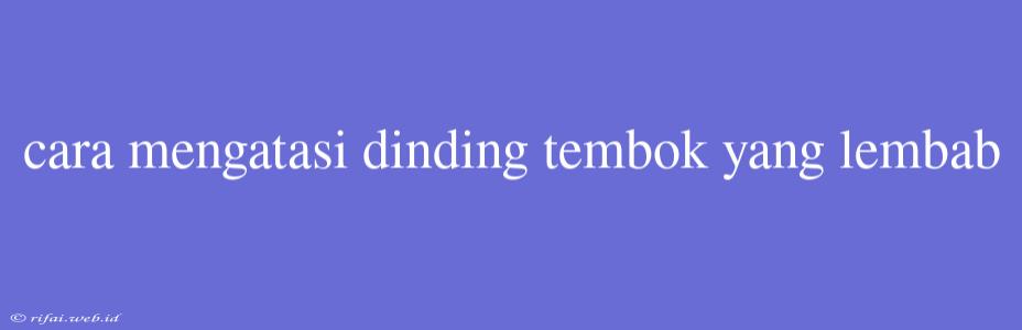 Cara Mengatasi Dinding Tembok Yang Lembab