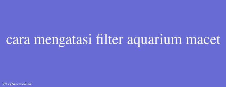 Cara Mengatasi Filter Aquarium Macet