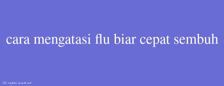 Cara Mengatasi Flu Biar Cepat Sembuh