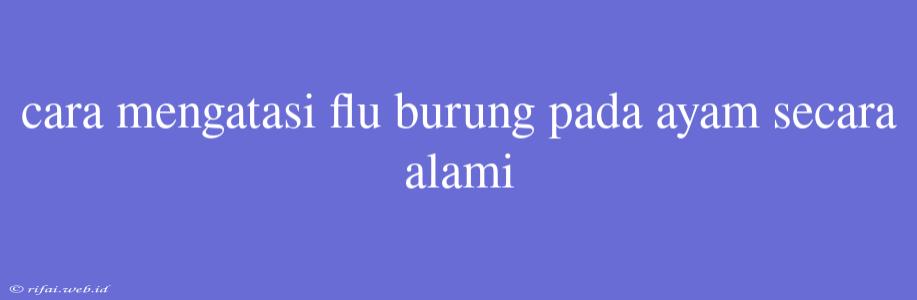 Cara Mengatasi Flu Burung Pada Ayam Secara Alami