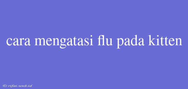 Cara Mengatasi Flu Pada Kitten