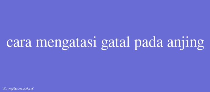 Cara Mengatasi Gatal Pada Anjing