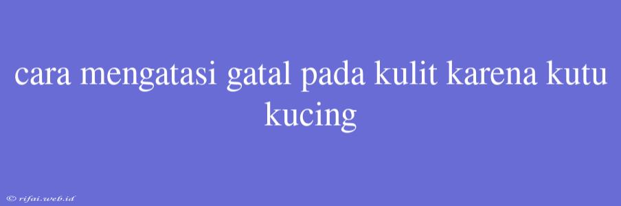 Cara Mengatasi Gatal Pada Kulit Karena Kutu Kucing