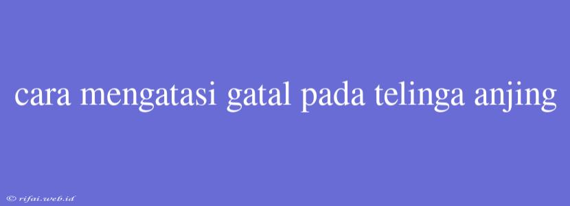 Cara Mengatasi Gatal Pada Telinga Anjing