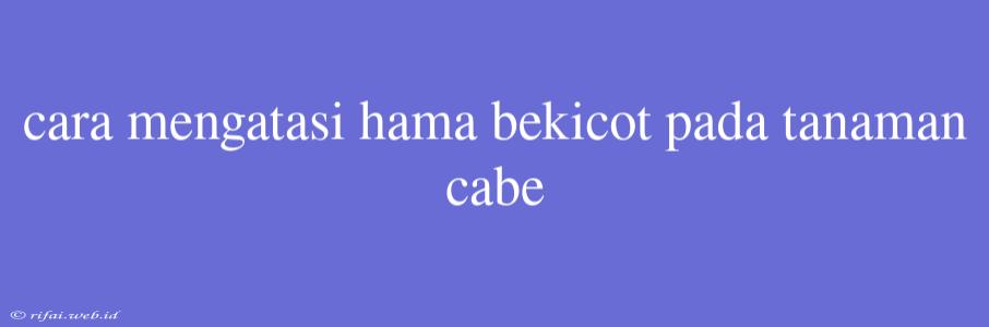 Cara Mengatasi Hama Bekicot Pada Tanaman Cabe