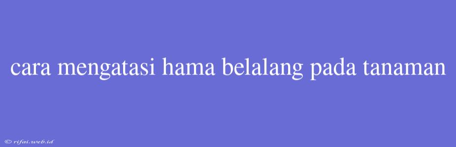 Cara Mengatasi Hama Belalang Pada Tanaman