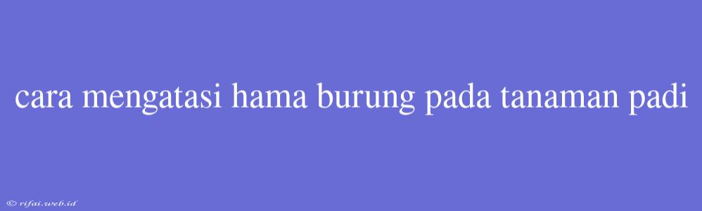 Cara Mengatasi Hama Burung Pada Tanaman Padi