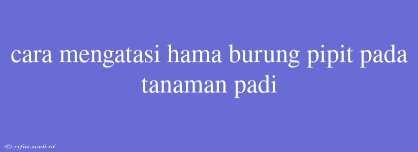 Cara Mengatasi Hama Burung Pipit Pada Tanaman Padi