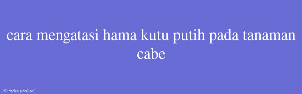 Cara Mengatasi Hama Kutu Putih Pada Tanaman Cabe