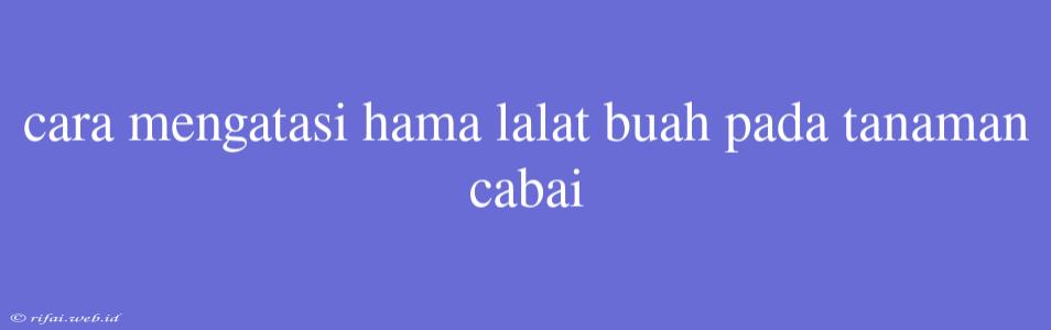 Cara Mengatasi Hama Lalat Buah Pada Tanaman Cabai