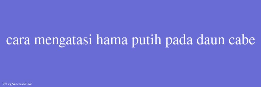 Cara Mengatasi Hama Putih Pada Daun Cabe