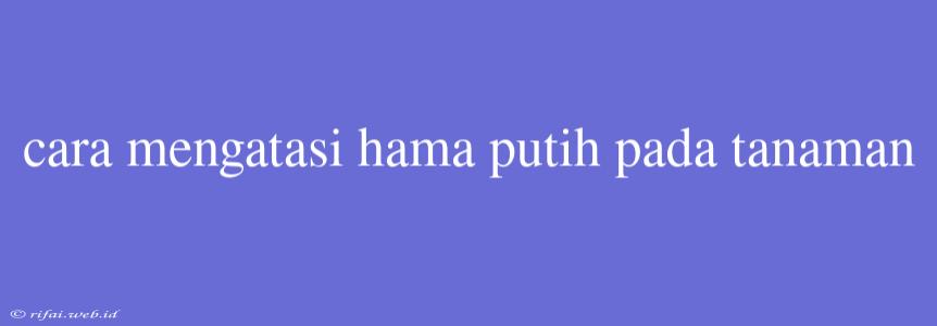 Cara Mengatasi Hama Putih Pada Tanaman