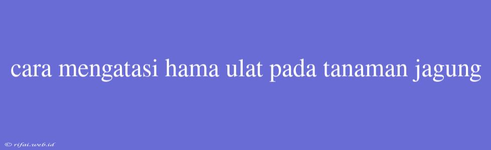 Cara Mengatasi Hama Ulat Pada Tanaman Jagung