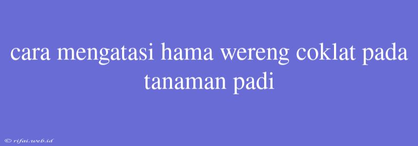 Cara Mengatasi Hama Wereng Coklat Pada Tanaman Padi