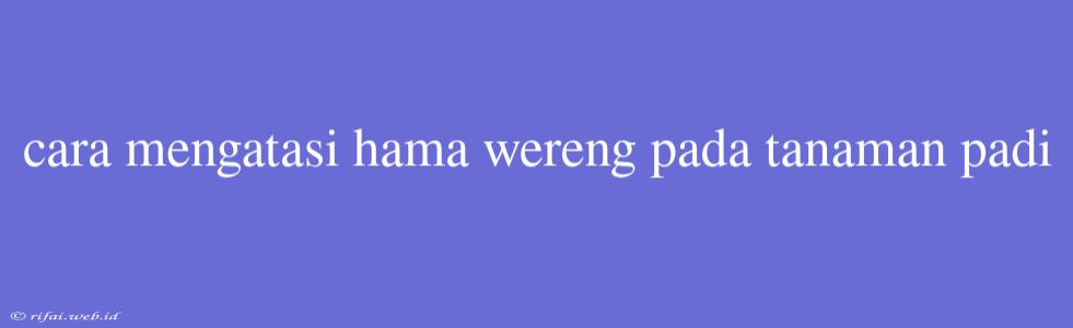 Cara Mengatasi Hama Wereng Pada Tanaman Padi