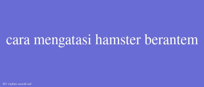 Cara Mengatasi Hamster Berantem