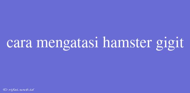 Cara Mengatasi Hamster Gigit