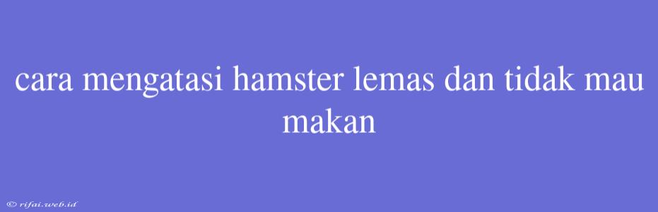 Cara Mengatasi Hamster Lemas Dan Tidak Mau Makan