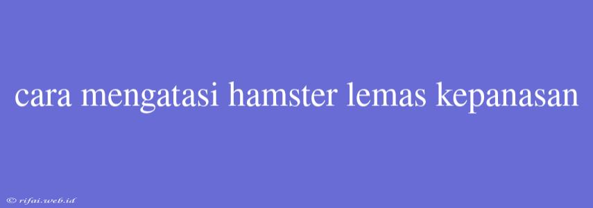 Cara Mengatasi Hamster Lemas Kepanasan