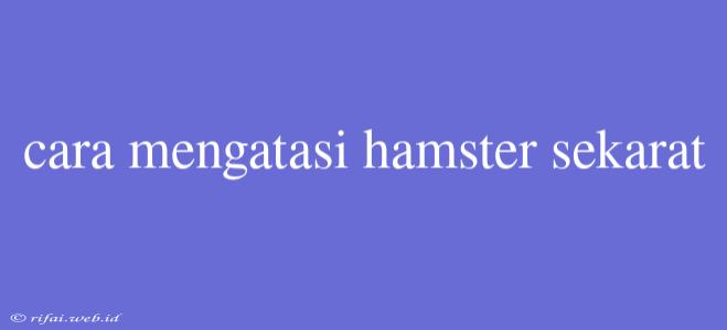 Cara Mengatasi Hamster Sekarat