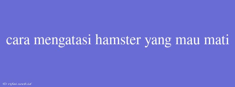 Cara Mengatasi Hamster Yang Mau Mati