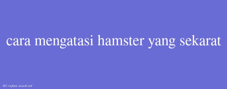 Cara Mengatasi Hamster Yang Sekarat