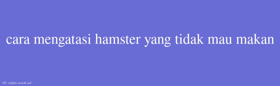 Cara Mengatasi Hamster Yang Tidak Mau Makan