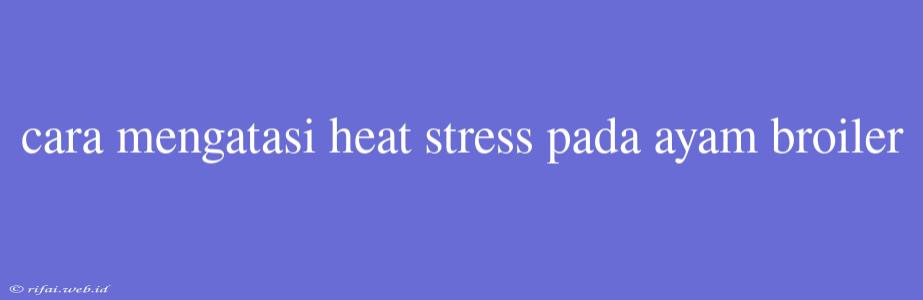 Cara Mengatasi Heat Stress Pada Ayam Broiler