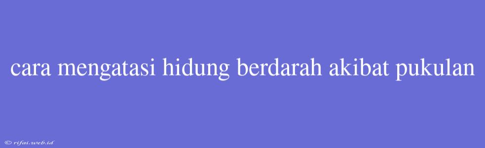 Cara Mengatasi Hidung Berdarah Akibat Pukulan