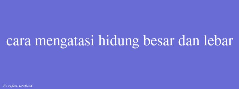 Cara Mengatasi Hidung Besar Dan Lebar