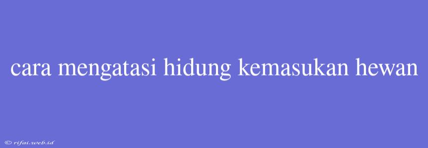 Cara Mengatasi Hidung Kemasukan Hewan