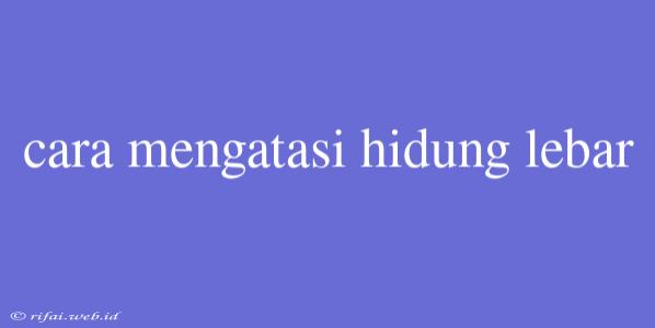 Cara Mengatasi Hidung Lebar