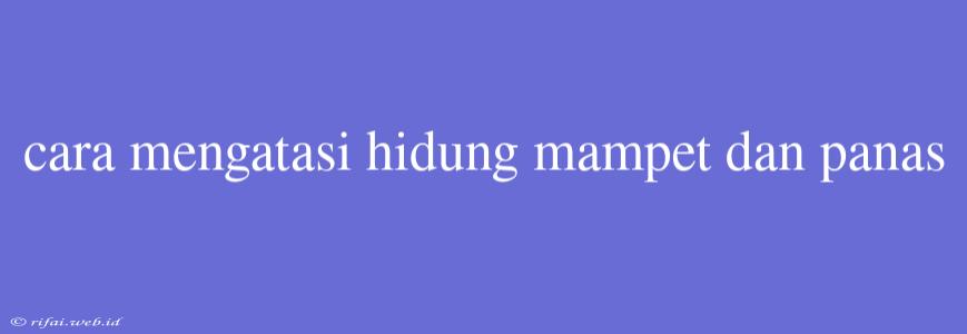 Cara Mengatasi Hidung Mampet Dan Panas