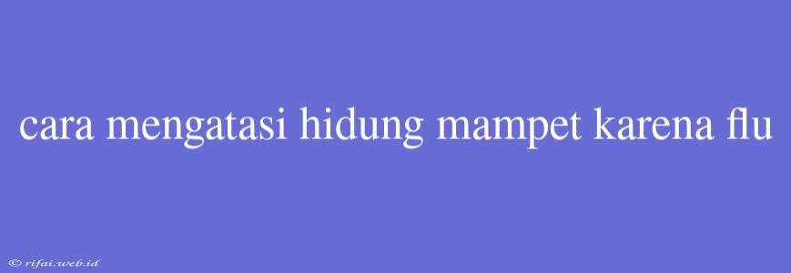 Cara Mengatasi Hidung Mampet Karena Flu