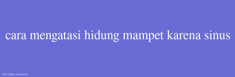 Cara Mengatasi Hidung Mampet Karena Sinus